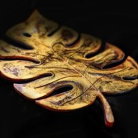 Костер "Золото тропического леса"