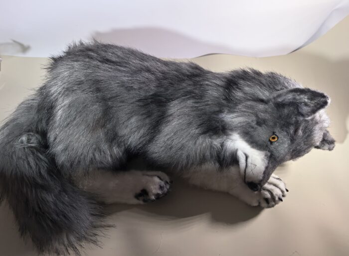 Мягкая игрушка волчонок — изображение 6