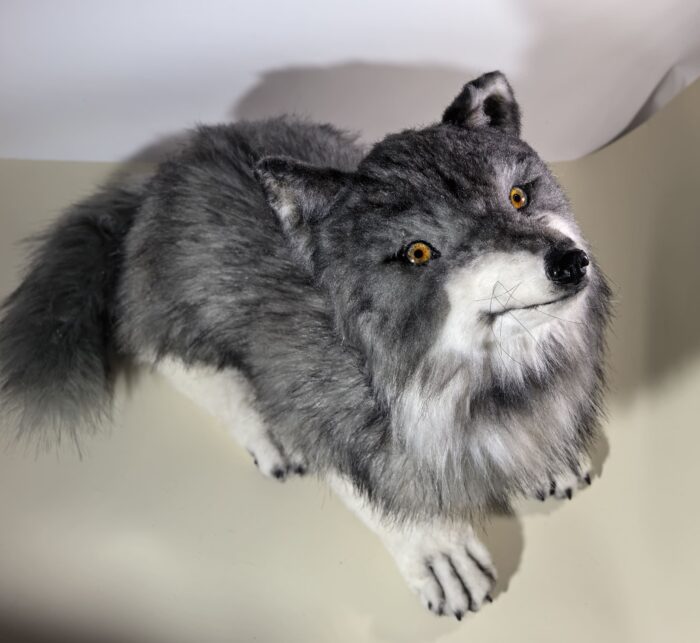 Мягкая игрушка волчонок — изображение 7