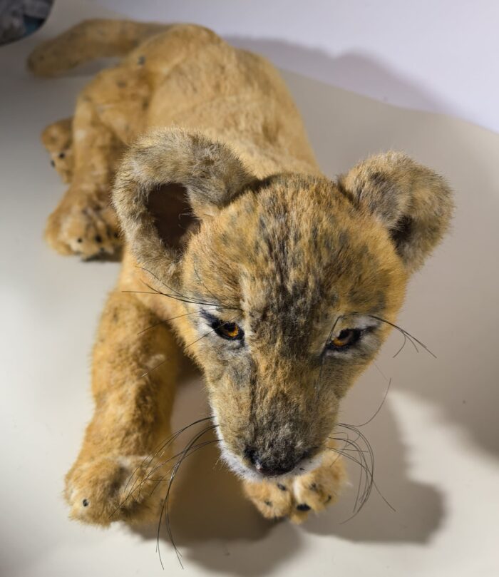 Львёнок из искусственного меха ручной работы — пушистый кусочек саванны у вас дома!