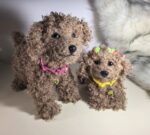 Мягкие игрушки-пудели из искусственного меха ручной работы!