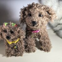 Мягкие игрушки- Реалистичные пудели