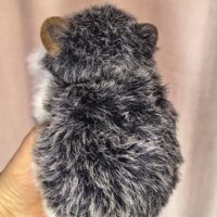 Мягкая игрушка «Ёжик» из искусственного меха ручной работы: кусочек лесной сказки в вашем доме!