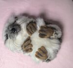 Мягкая игрушка «Ёжик» из искусственного меха ручной работы: кусочек лесной сказки в вашем доме!