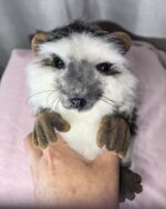 Мягкая игрушка «Ёжик» из искусственного меха ручной работы: кусочек лесной сказки в вашем доме!