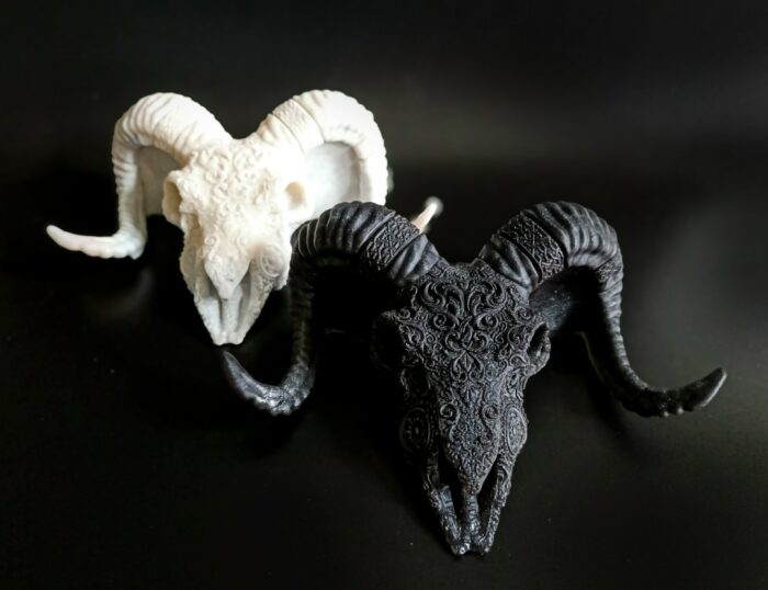 Череп козла