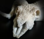 Череп козла "Лунная Печать"