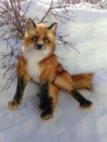 Рыжий лис — изображение 9