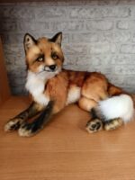 Представляем вашему вниманию реалистичную игрушку лисы – прекрасное приобретение для детей и коллекционеров. Эта игрушка выполнена с невероятной детализацией, что делает ее практически неотличимой от настоящего животного. Назначение: · оригинальный элемент интерьера, который украсит дом или офис; · необычный и запоминающийся подарок для любителей животных и коллекционеров реалистичных игрушек; · реквизит для фотосессий или тематических мероприятий; · декоративный акцент в детской комнате, студии или живом уголке. Преимущества: · ручная работа — каждая игрушка уникальна; · безопасность — используются только искусственные материалы; · долговечность — конструкция и материалы рассчитаны на длительное использование; · универсальность — подойдёт как для детей (старше 3 лет под присмотром взрослых), так и для взрослых коллекционеров. · Размер игрушки: · Высота 45 см., ушки 7 см., длинна тела 50 см., хвост 35 см. Эта реалистичная игрушка лисы станет прекрасным спутником для игр, а также украсит любой интерьер своим шармом и реалистичностью.