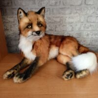 Представляем вашему вниманию реалистичную игрушку лисы – прекрасное приобретение для детей и коллекционеров. Эта игрушка выполнена с невероятной детализацией, что делает ее практически неотличимой от настоящего животного. Назначение: · оригинальный элемент интерьера, который украсит дом или офис; · необычный и запоминающийся подарок для любителей животных и коллекционеров реалистичных игрушек; · реквизит для фотосессий или тематических мероприятий; · декоративный акцент в детской комнате, студии или живом уголке. Преимущества: · ручная работа — каждая игрушка уникальна; · безопасность — используются только искусственные материалы; · долговечность — конструкция и материалы рассчитаны на длительное использование; · универсальность — подойдёт как для детей (старше 3 лет под присмотром взрослых), так и для взрослых коллекционеров. · Размер игрушки: · Высота 45 см., ушки 7 см., длинна тела 50 см., хвост 35 см. Эта реалистичная игрушка лисы станет прекрасным спутником для игр, а также украсит любой интерьер своим шармом и реалистичностью.