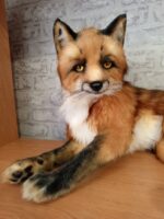 Рыжий лис — изображение 3