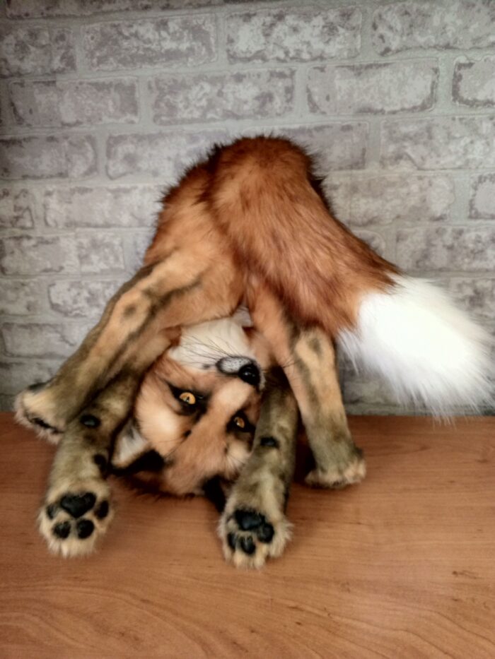 Рыжий лис — изображение 2