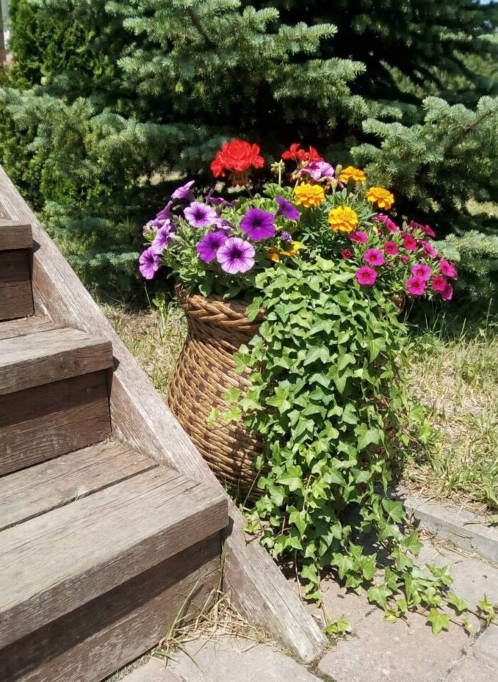 Вазон "Горшочек" 15л — изображение 3