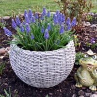 Кашпо "Шар" 12л