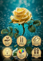 Гармония в ладонях