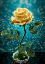 Гармония в ладонях — изображение 6