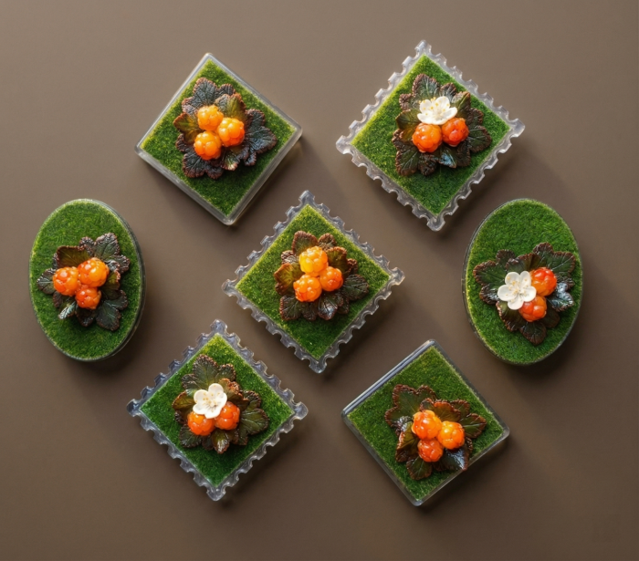 Магнит «Северное золото» (Морошка) — изображение 3