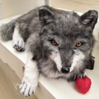 Мягкая подвижная реалистичная игрушка/ Волчонок из искусственного меха