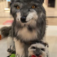 Мягкая подвижная реалистичная игрушка/ Волчонок из искусственного меха