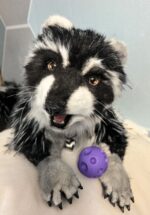 Мягкая подвижная игрушка из искусственного меха «Енот"