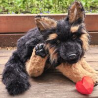"Щенок немецкой овчарки" мягкая игрушка из искусственного меха : пластиковый скелет, стеклянные глазки, ротик с силиконовым языком. Ручная работа.